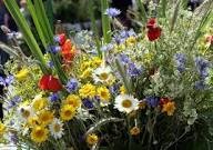 images 1