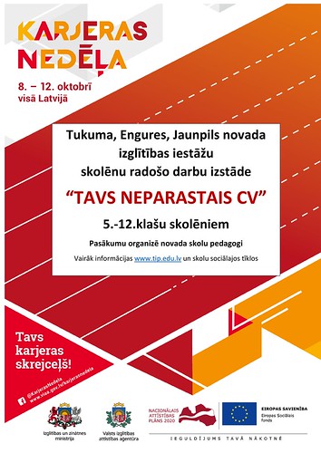 Tavs neparastais CV